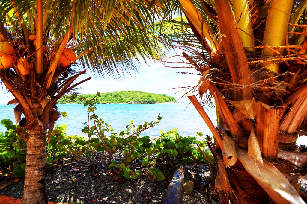 Maison d’Hôtes Ilet Oscar – Photos Maison – MadInDrone 14